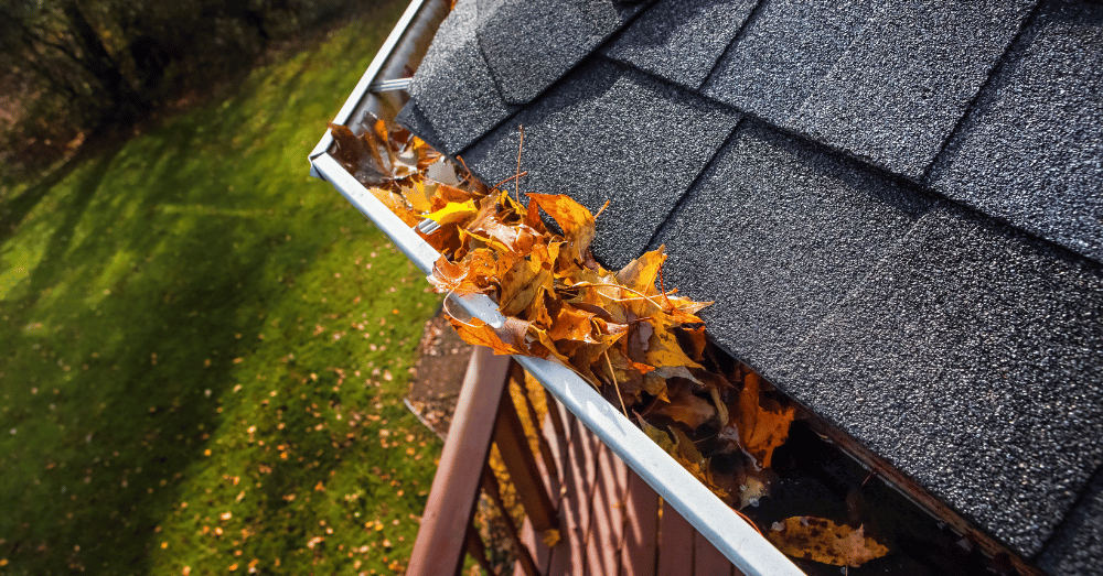 5 Signs That it's Time for Gutter Replacement - leaves in a gutter