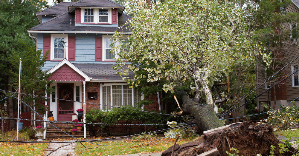 storm damage repair lyndon ky - house with tree damage